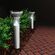 Feit Electric OneSync LEDボラードライト ブラッシュニッケル (BOLLRDSYNCSOLNK) / BOLLARD LIGHT NCKL 12"