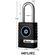 Master Lock 耐候性南京錠