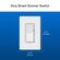 Lutron Diva 調光＆色コントロール用スマートスイッチ (DVRF-PKG1D-WH-R)