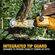 DeWalt 20V MAX DCCS623B 剪定鋸 (DCCS623B)