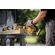 DeWalt 20V MAX DCCS623B 剪定鋸 (DCCS623B)