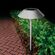 Feit OneSync ソーラーパワー式LED通路ライト ブラッシュニッケル (PATH/SYNC/SOLNK)