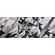 Wolfgang Sunset palms 犬用首輪 Mサイズ (WC-002-86)Wolfgang Sunset palms 犬用首輪 Mサイズ (WC-002-86)