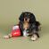 Fringe Studio Wagsdale ビット＆ピース犬用玩具 (314178)