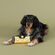 Fringe Studio Wagsdale 水準器型犬用玩具 (314179) Fringe Studio Wagsdale 水準器型犬用玩具 (314179)