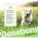 Benebone 噛む犬用玩具 魚の骨型 Mサイズ (420244) Benebone 噛む犬用玩具 魚の骨型 Mサイズ (420244)