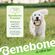 Benebone 噛む犬用玩具 リング型 Mサイズ (570244)