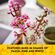 LEGO Botanical Collection 桜ブーケ組立430点キット (40725)