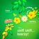 Febreze Plug Scent Booster 芳香剤スターターキット (80787494)