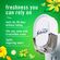Febreze Plug 芳香剤オイルレフィル ゲインオリジナル 2個入 6パック (80363240)