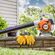 STIHL リーフブロワー (42290111722US)