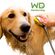 Wondurdog 犬用グルーミングキット ( WD001)