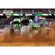 Eurographics Monster Jam Grave Digger パズル入コレクション缶 (8551-5943)