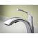 Sterling Duttrie プルアウトキッチン蛇口 クロム (R38605-CP)