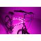 Brightz Ltd. CosmicBrightz 自転車用フレームLEDライト ピンク (L2477) / LIGHTS BIKE FRAME PINK