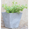 Novelty Artstone フラワーポット スクエア グレー (35080) / PLANTER ELLA SQR GRY 8"