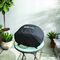 Weber Q2800N+ Bonnet グリルカバー ブラック (3400232)