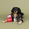 Fringe Studio Wagsdale ビット＆ピース犬用玩具 (314178)