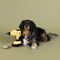Fringe Studio Wagsdale 電動ドライバー型犬用玩具 (314181)