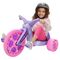 Schylling Big Wheel 三輪車 (BW16DZ)