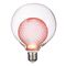 Globe Electric 装飾LED電球 ソフトホワイト (16000254)