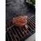 Weber Weber Wired Food Probe 食物用針温度計 (3400324)