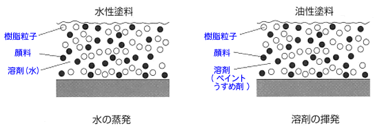 δΥ饹