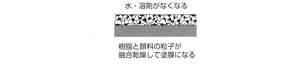 δΥ饹