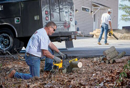 DeWalt 20V MAX XR チェーンソー