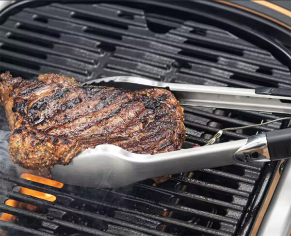 車に積んで何処でも Weber Traveler Stealth ポータブルグリル