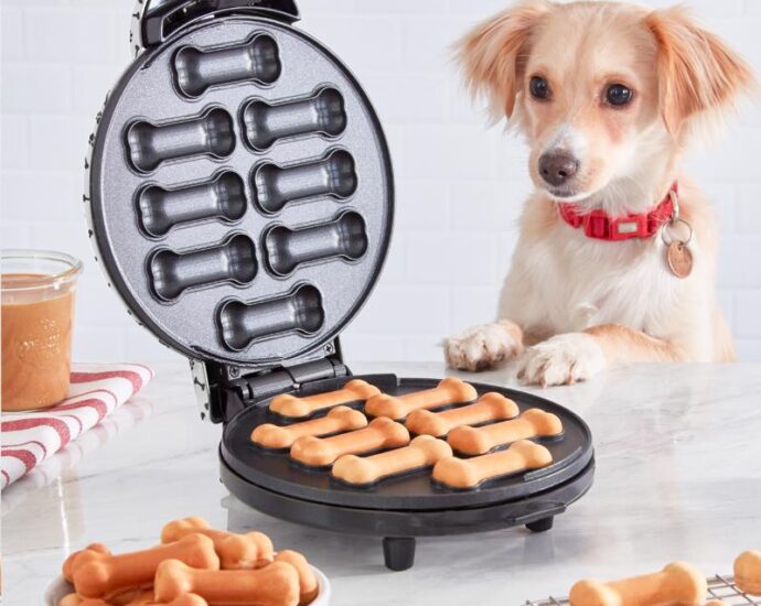 ワンちゃんうれしい！Dash Express 犬用おやつメーカー
