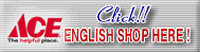 ACE HARDWARE USA