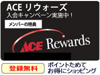 ACE HARDWARE USA