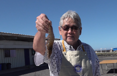 深海エビをコナ・シーソルトでクッキング