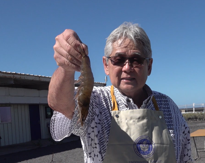 深海エビをコナ・シーソルトでクッキング