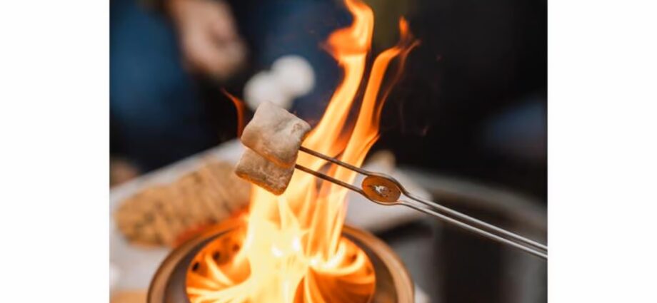 Solo Stove Ranger 直径18cm ファイヤーピット スタンド付き