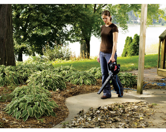 Toro 電動ハンディブロワー ( 51585)