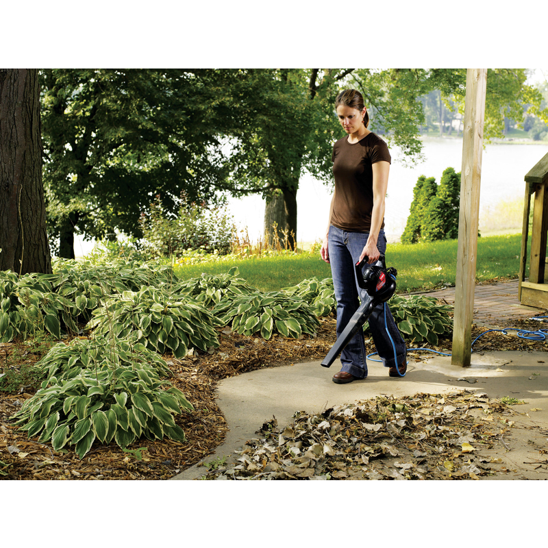 Toro 電動ハンディブロワー ( 51585)