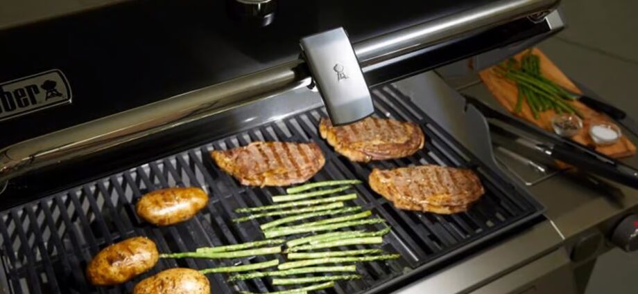 Weber Grill ’n Go グリルライト(7661)
