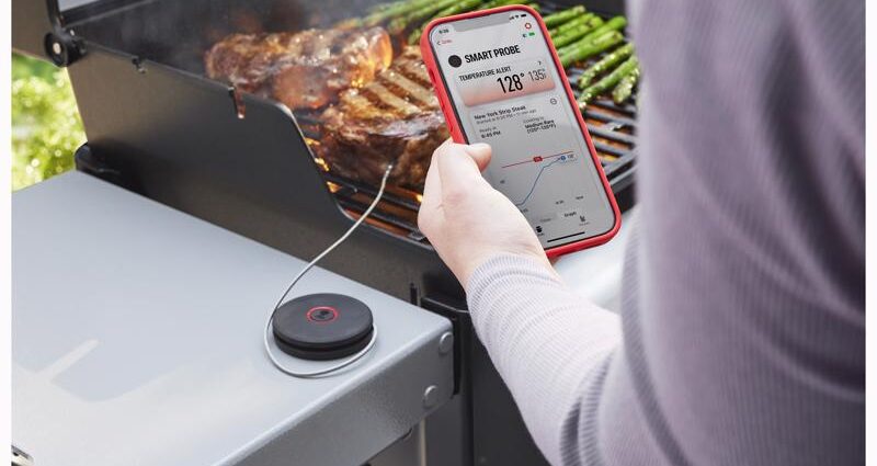 Weber Smart Probe and Grate Sensor プローブ式温度計 (3400516)
