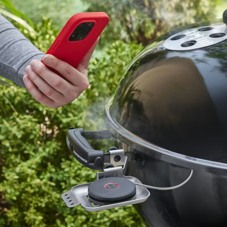 Weber Smart Probe and Grate Sensor プローブ式温度計 (3400516)