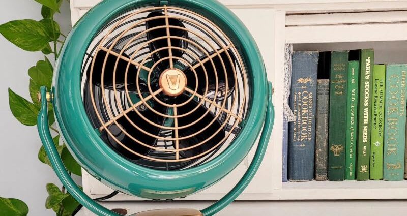 Vornado VFAN サーキュレーター グリーン (CR1-0061-17)