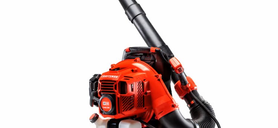 CRAFTSMAN BP510 ガス式バックパックリーフブロワー